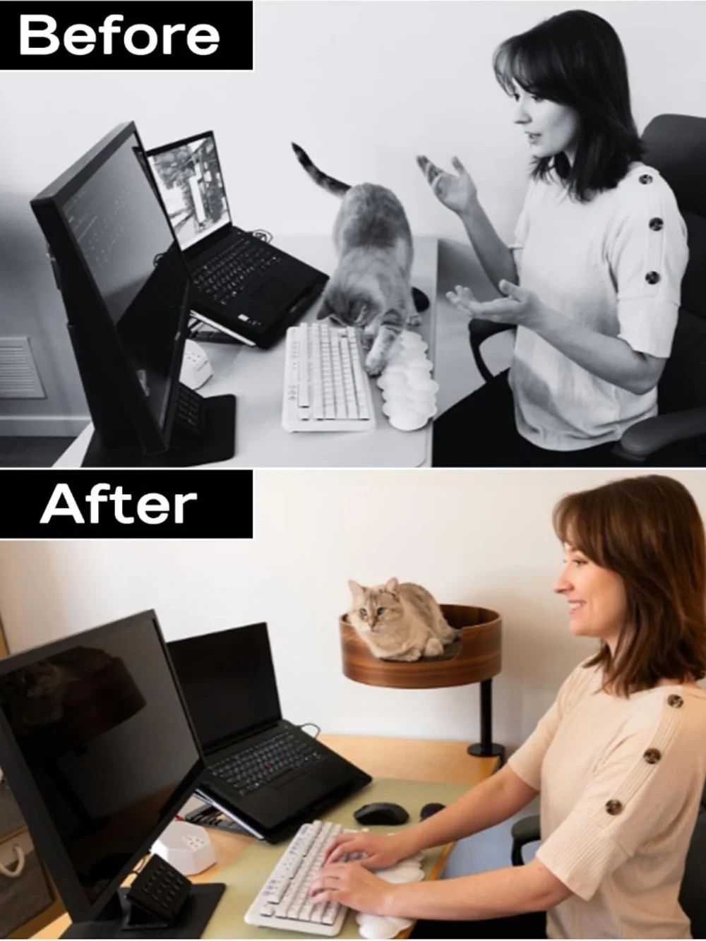 The Original Desk Mounted Cat Bed Attachment – Walnut Wood & White oak