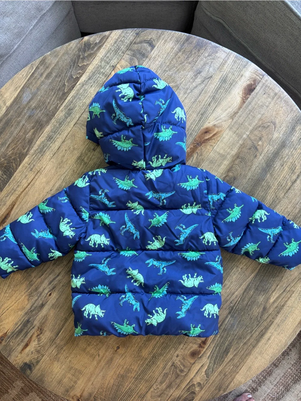 Toddler Boys Dinosaur Puffer Jacket