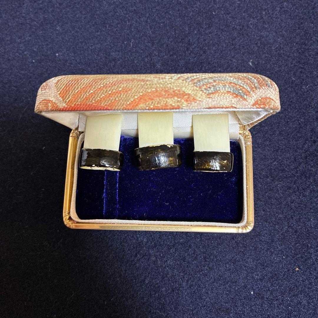 Koto pick with case