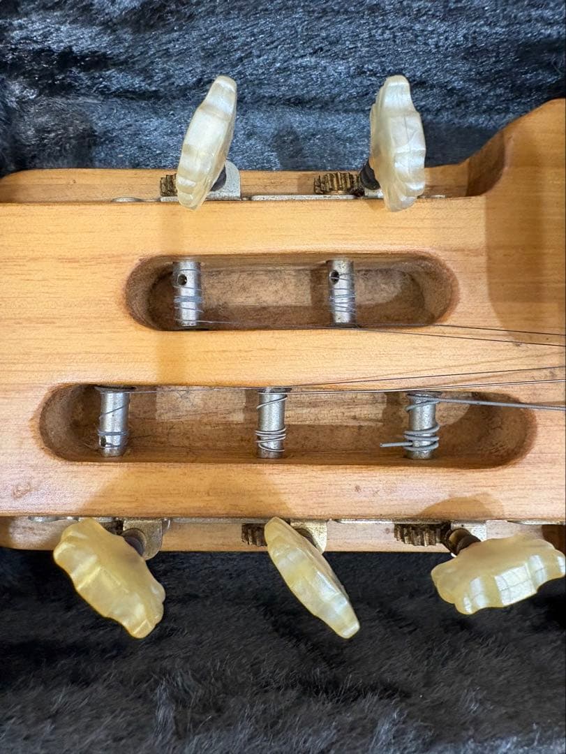 Koto (Japanese Harp) with Case