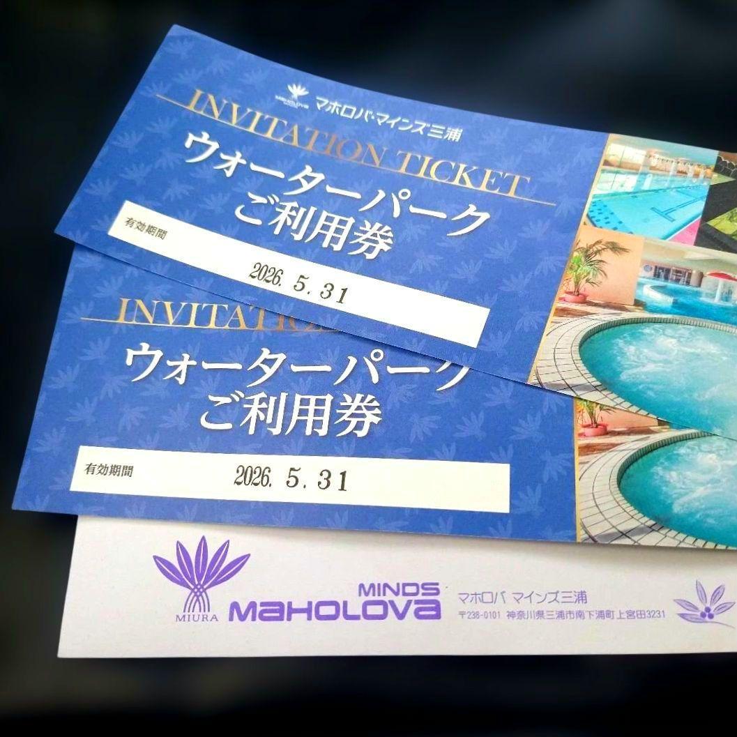 Mahoroba Mines Miura Water Park Admission Ticket - 2 Tickets