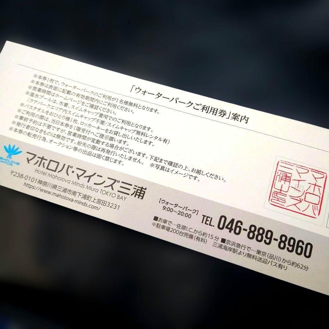 Mahoroba Mines Miura Water Park Admission Ticket - 2 Tickets